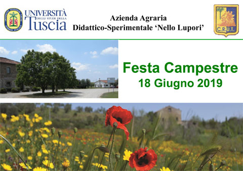 SdM | Festa Campestre 2019