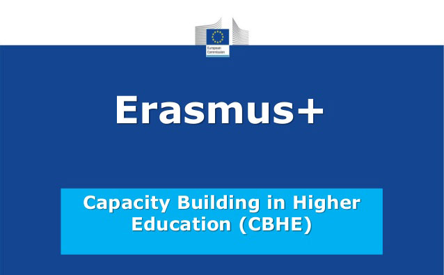 Università degli Studi della Tuscia | Progetto TAURUS - pubblicazione bando Erasmus+ tirocini studenti
