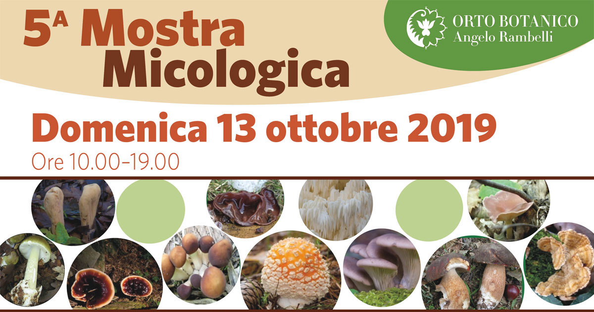 SdM | 5° Mostra micologica