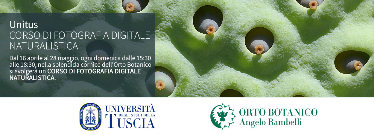 Università della Tuscia | CORSO DI FOTOGRAFIA DIGITALE NATURALISTICA