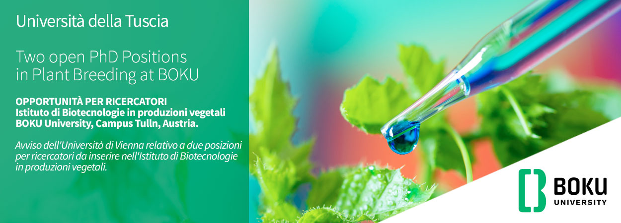 Università della Tuscia | Two open PhD Positions in Plant Breeding at BOKU