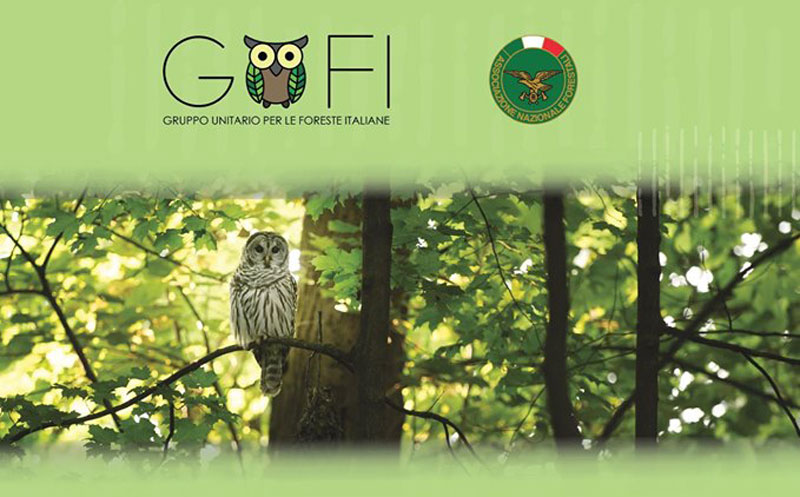 Convegno | LA CONSERVAZIONE DELLE FORESTE IN ITALIA, RIFLESSIONI URGENTI