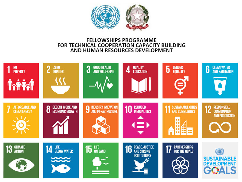 Fellowships Programme for Technical Cooperation Capacity Building and Human Resources Development