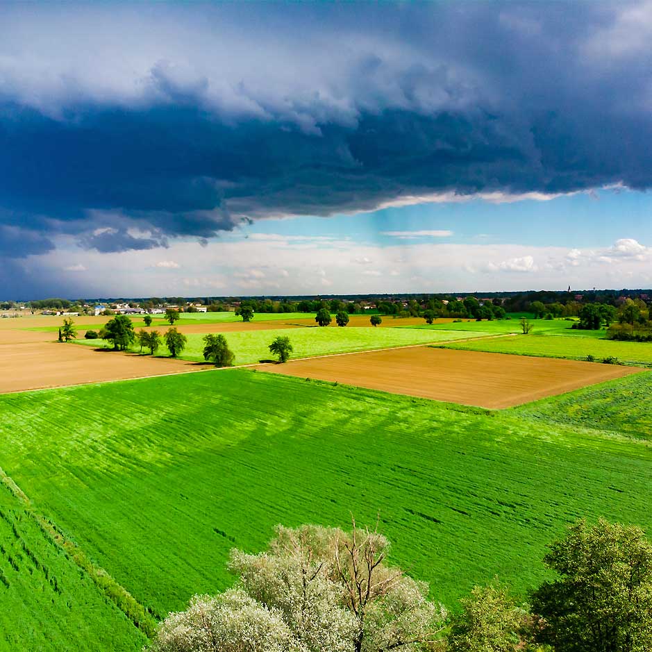 INNOVAZIONE DELLE TECNOLOGIE PER I SISTEMI AGRARI E FORESTALI